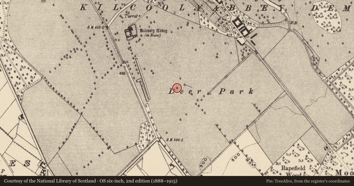 Ordnance Survey six-inch map, 2nd edition (1888–1915) covering the location of Deer park, Kilcoolyabbey, County Tipperary South, with a pin at the register's coordinates