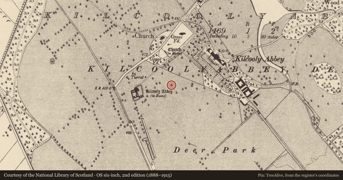 Ordnance Survey six-inch map, 2nd edition (1888–1915) covering the location of Designed landscape - formal garden, Kilcoolyabbey, County Tipperary South, with a pin at the register's coordinates