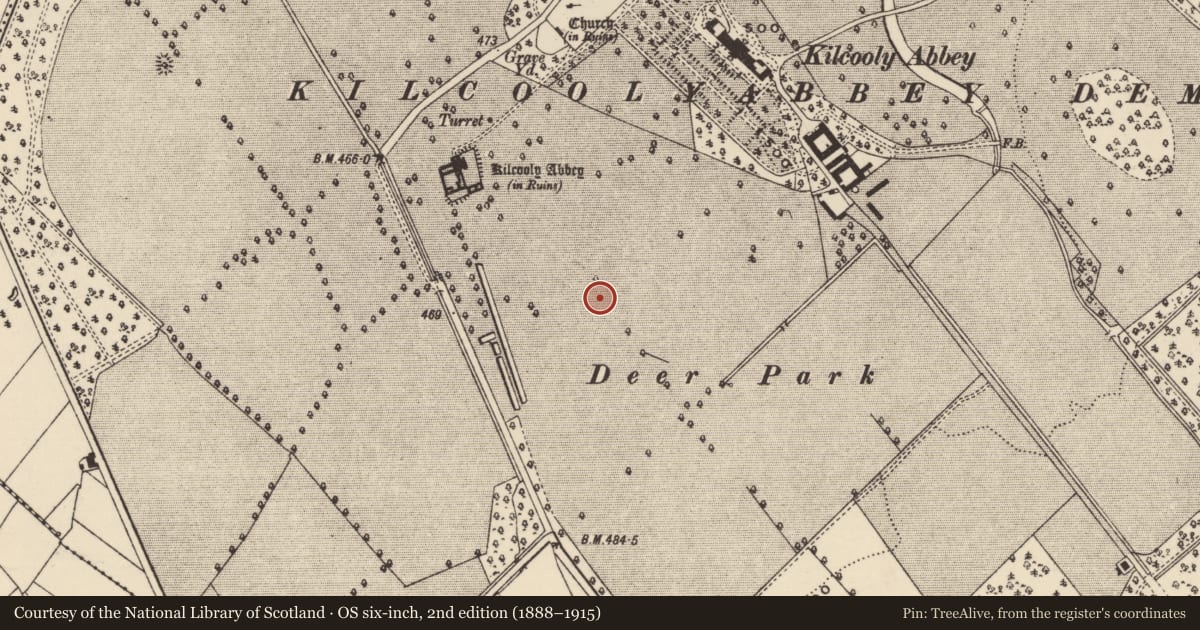 Ordnance Survey six-inch map, 2nd edition (1888–1915) covering the location of Enclosure, Kilcoolyabbey, County Tipperary South, with a pin at the register's coordinates