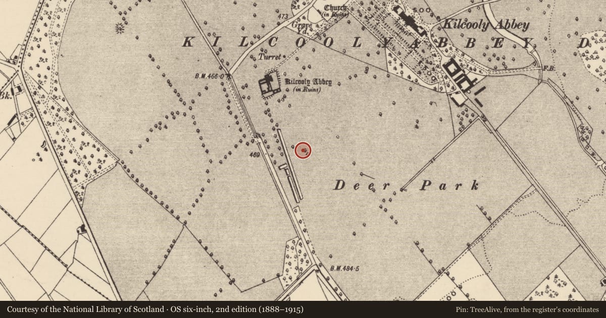 Ordnance Survey six-inch map, 2nd edition (1888–1915) covering the location of Enclosure, Kilcoolyabbey, County Tipperary South, with a pin at the register's coordinates
