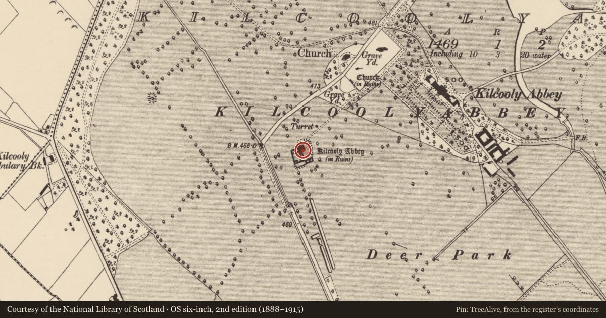 Ordnance Survey six-inch map, 2nd edition (1888–1915) covering the location of Tomb - chest tomb, Kilcoolyabbey, County Tipperary South, with a pin at the register's coordinates