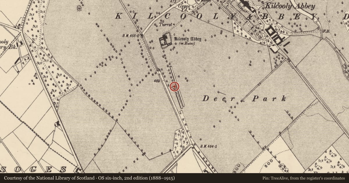 Ordnance Survey six-inch map, 2nd edition (1888–1915) covering the location of Fish-pond, Kilcoolyabbey, County Tipperary South, with a pin at the register's coordinates