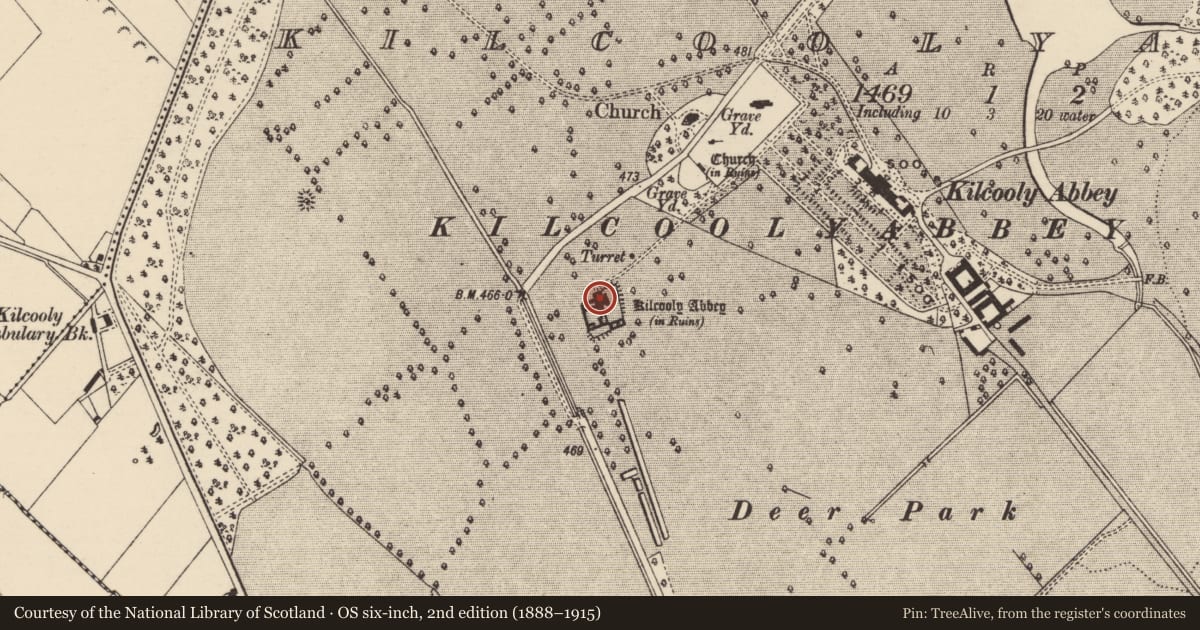 Ordnance Survey six-inch map, 2nd edition (1888–1915) covering the location of Graveslab, Kilcoolyabbey, County Tipperary South, with a pin at the register's coordinates