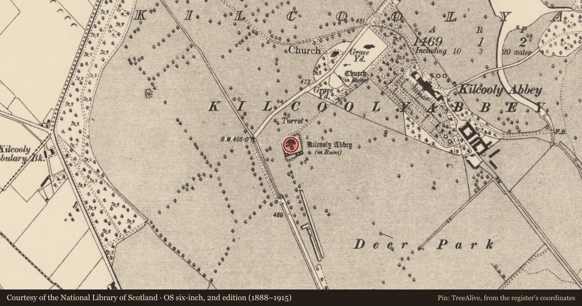 Ordnance Survey six-inch map, 2nd edition (1888–1915) covering the location of Graveslab, Kilcoolyabbey, County Tipperary South, with a pin at the register's coordinates