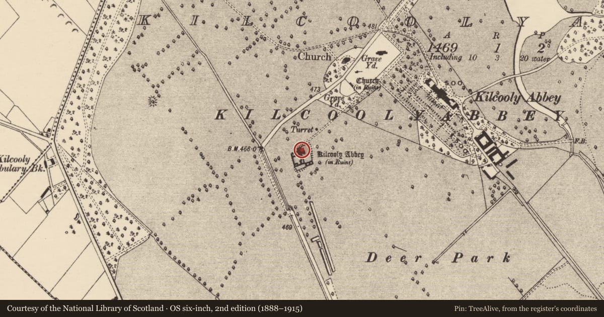 Ordnance Survey six-inch map, 2nd edition (1888–1915) covering the location of Graveslab, Kilcoolyabbey, County Tipperary South, with a pin at the register's coordinates