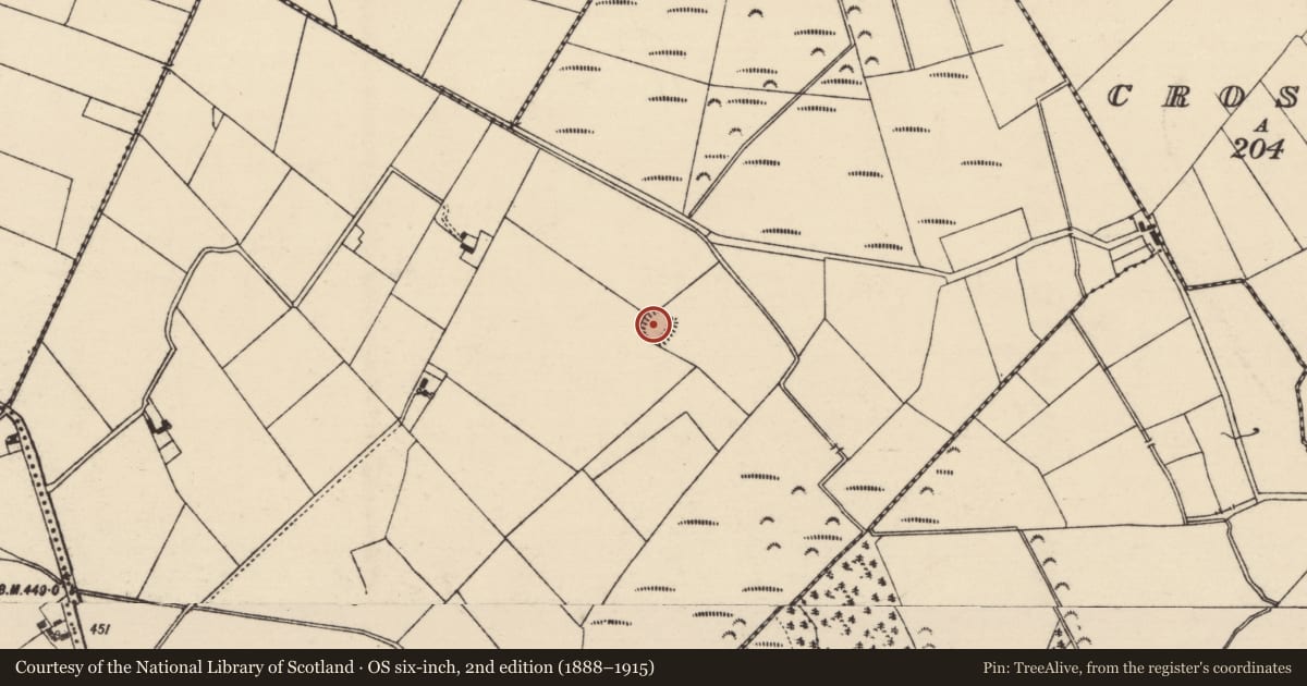 Ordnance Survey six-inch map, 2nd edition (1888–1915) covering the location of Enclosure, Crab, County Tipperary South, with a pin at the register's coordinates