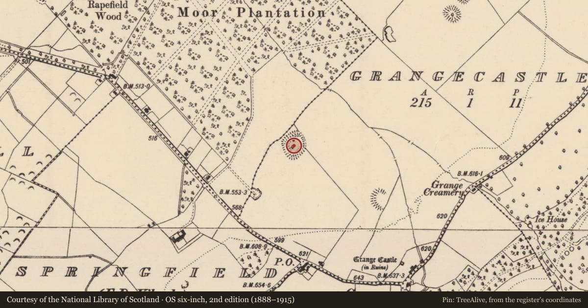 Ordnance Survey six-inch map, 2nd edition (1888–1915) covering the location of Moated site, Grangecastle, County Tipperary South, with a pin at the register's coordinates