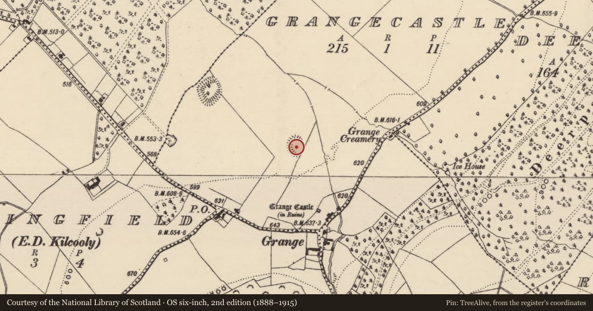 Ordnance Survey six-inch map, 2nd edition (1888–1915) covering the location of Moated site, Grangecastle, County Tipperary South, with a pin at the register's coordinates