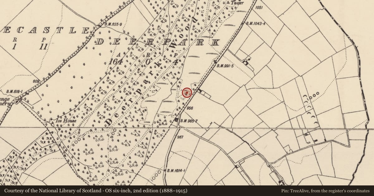 Ordnance Survey six-inch map, 2nd edition (1888–1915) covering the location of Enclosure, Deerpark (Kilcooly Par.), County Tipperary South, with a pin at the register's coordinates