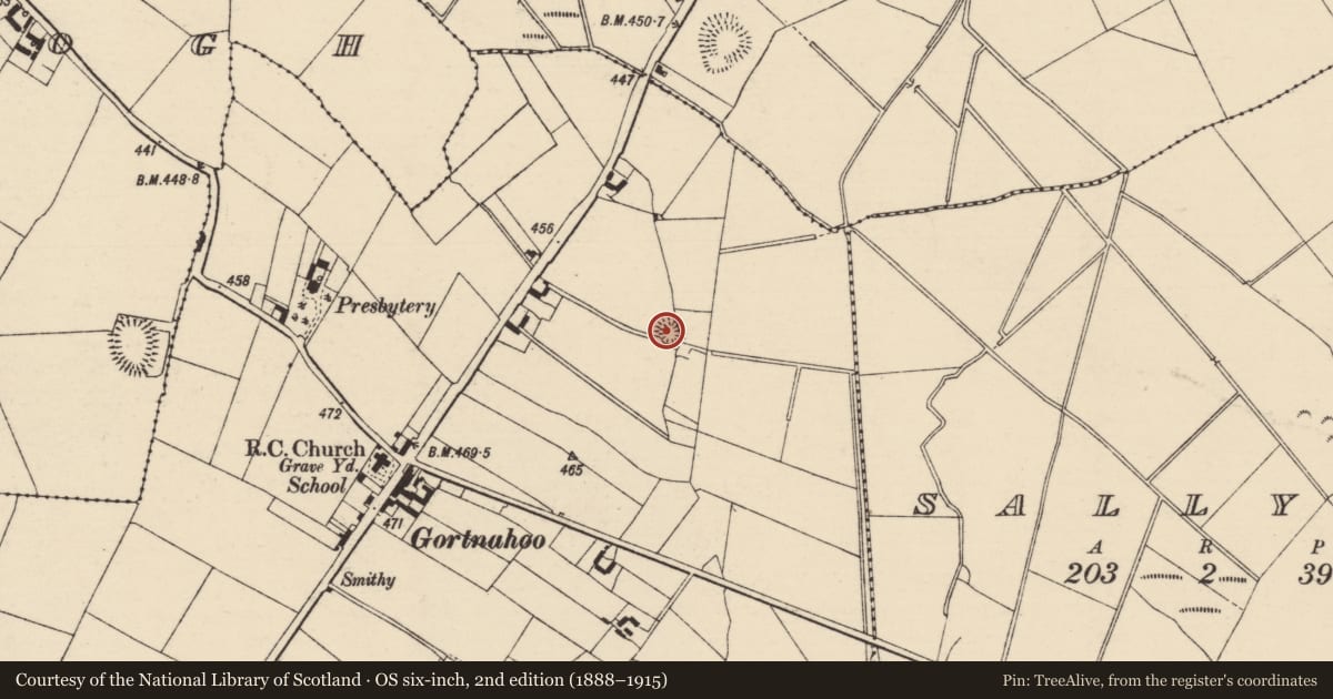 Ordnance Survey six-inch map, 2nd edition (1888–1915) covering the location of Enclosure, Gortnahoo, County Tipperary South, with a pin at the register's coordinates