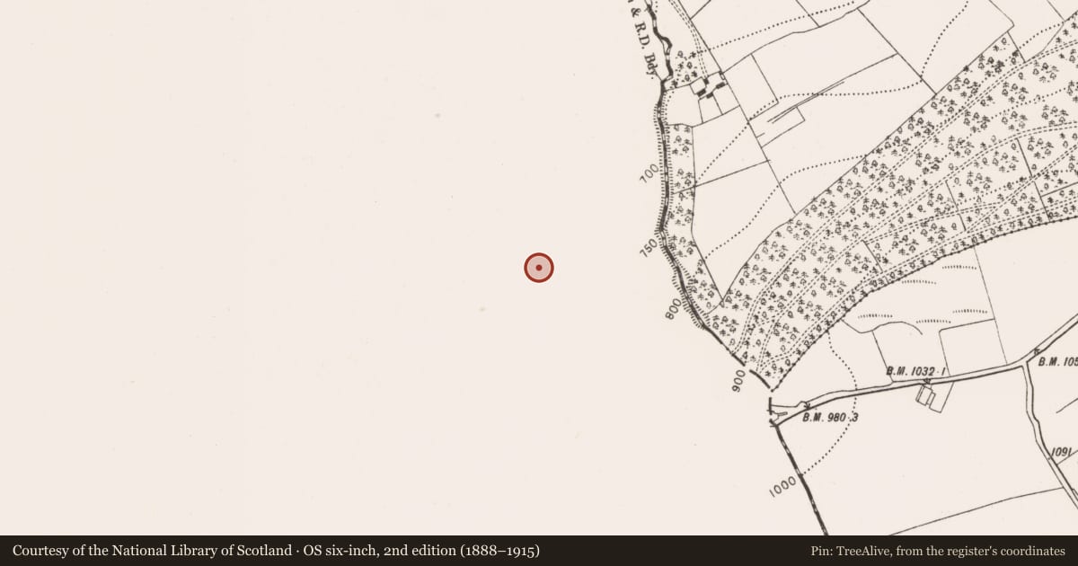 Ordnance Survey six-inch map, 2nd edition (1888–1915) covering the location of Enclosure, Grangecrag, County Tipperary South, with a pin at the register's coordinates