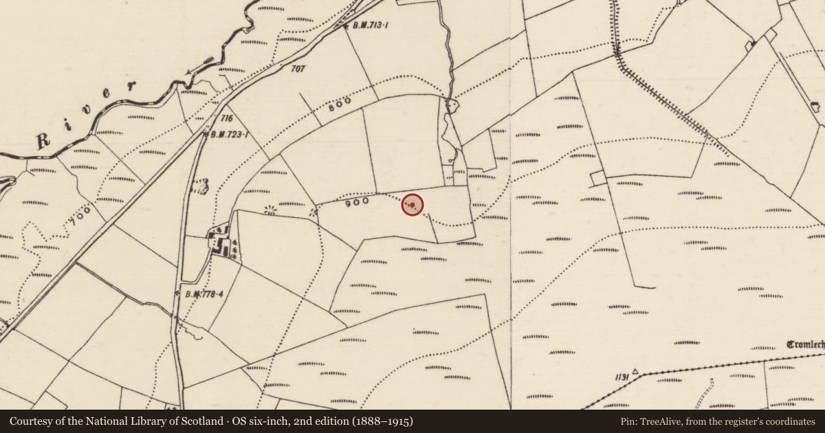 Ordnance Survey six-inch map, 2nd edition (1888–1915) covering the location of Enclosure, Curraghmarky, County Tipperary South, with a pin at the register's coordinates