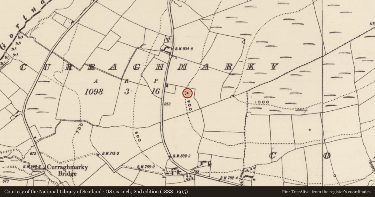 Ordnance Survey six-inch map, 2nd edition (1888–1915) covering the location of Enclosure, Curraghmarky, County Tipperary South, with a pin at the register's coordinates