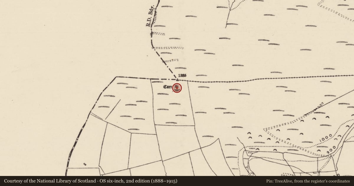 Ordnance Survey six-inch map, 2nd edition (1888–1915) covering the location of Cairn - unclassified, Glengar, County Tipperary South, with a pin at the register's coordinates
