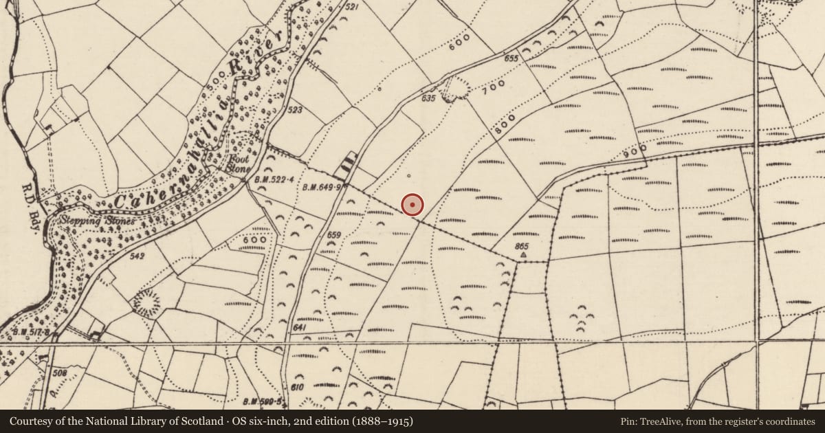 Ordnance Survey six-inch map, 2nd edition (1888–1915) covering the location of Enclosure, Knockanavar, Leugh, County Tipperary South, with a pin at the register's coordinates