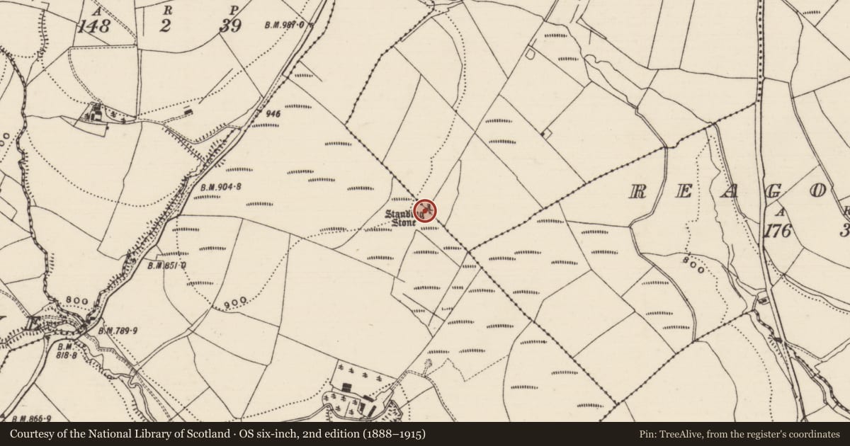 Ordnance Survey six-inch map, 2nd edition (1888–1915) covering the location of Standing stone, Blackstairs, Losset (Toem Par.), County Tipperary South, with a pin at the register's coordinates