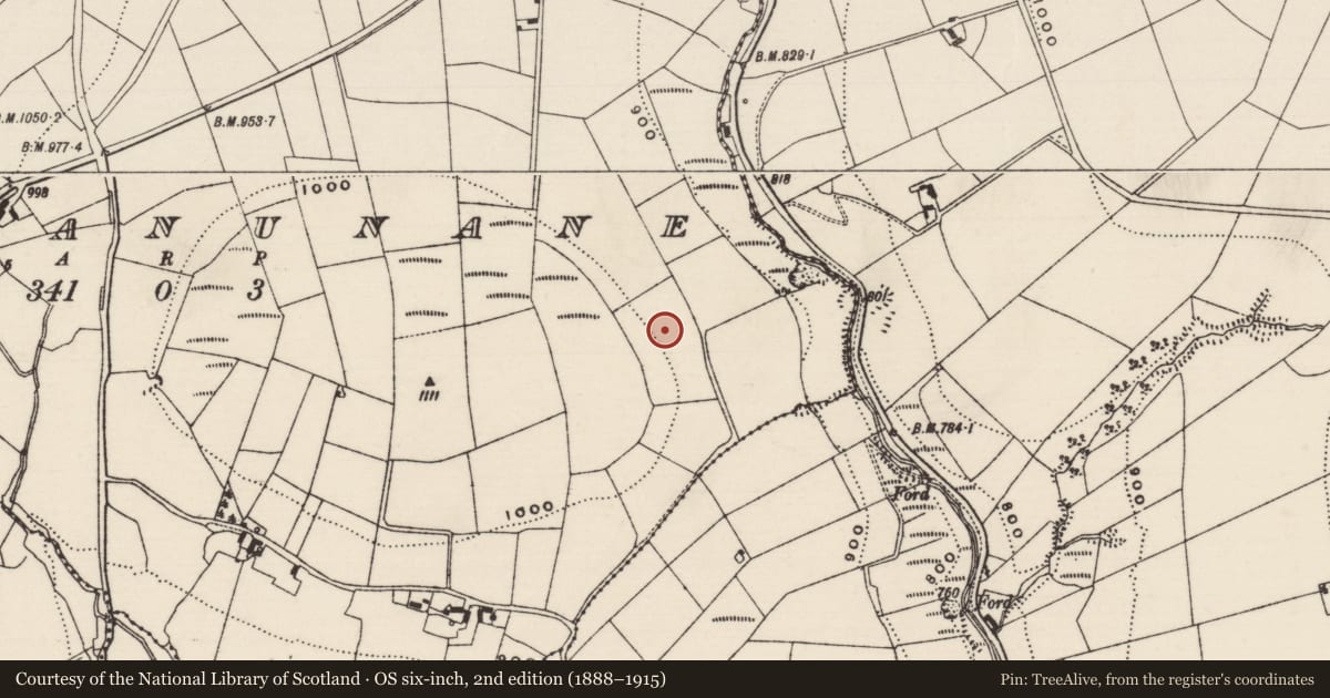 Ordnance Survey six-inch map, 2nd edition (1888–1915) covering the location of Enclosure, Boolanunane, County Tipperary South, with a pin at the register's coordinates