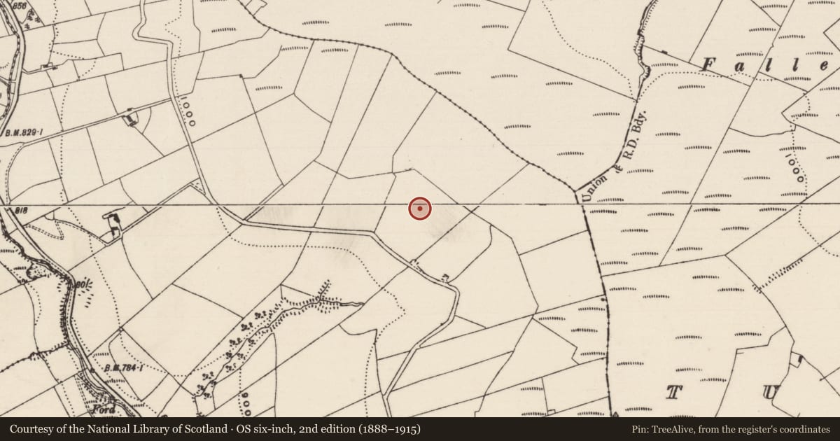 Ordnance Survey six-inch map, 2nd edition (1888–1915) covering the location of Enclosure, Reafadda, County Tipperary South, with a pin at the register's coordinates
