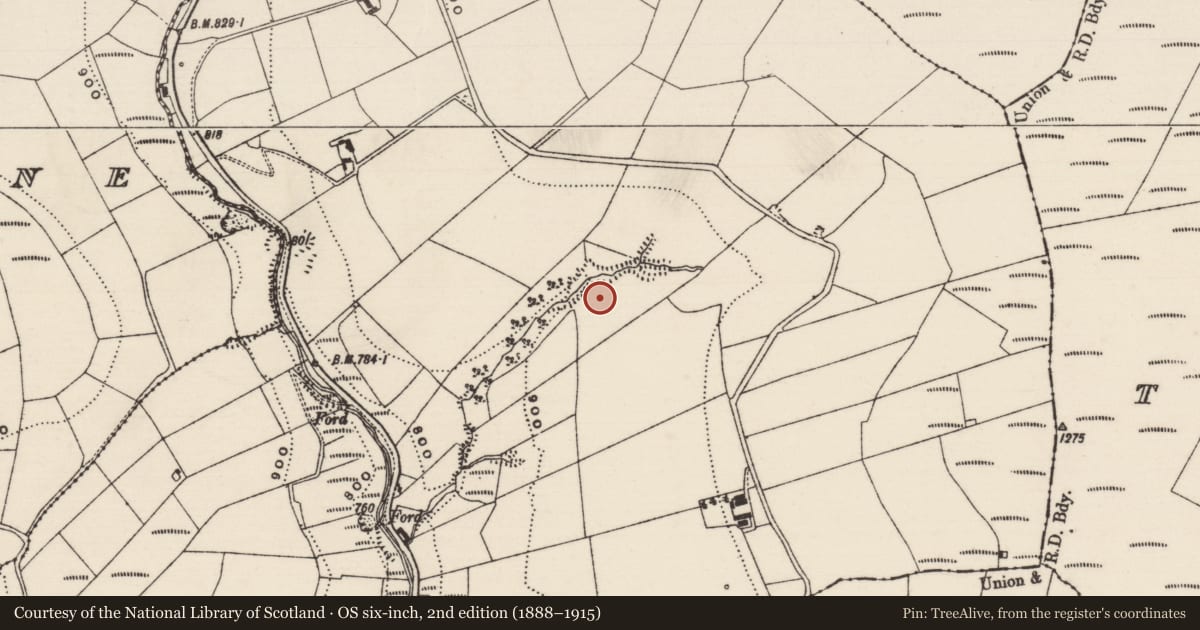 Ordnance Survey six-inch map, 2nd edition (1888–1915) covering the location of Enclosure, Reafadda, County Tipperary South, with a pin at the register's coordinates