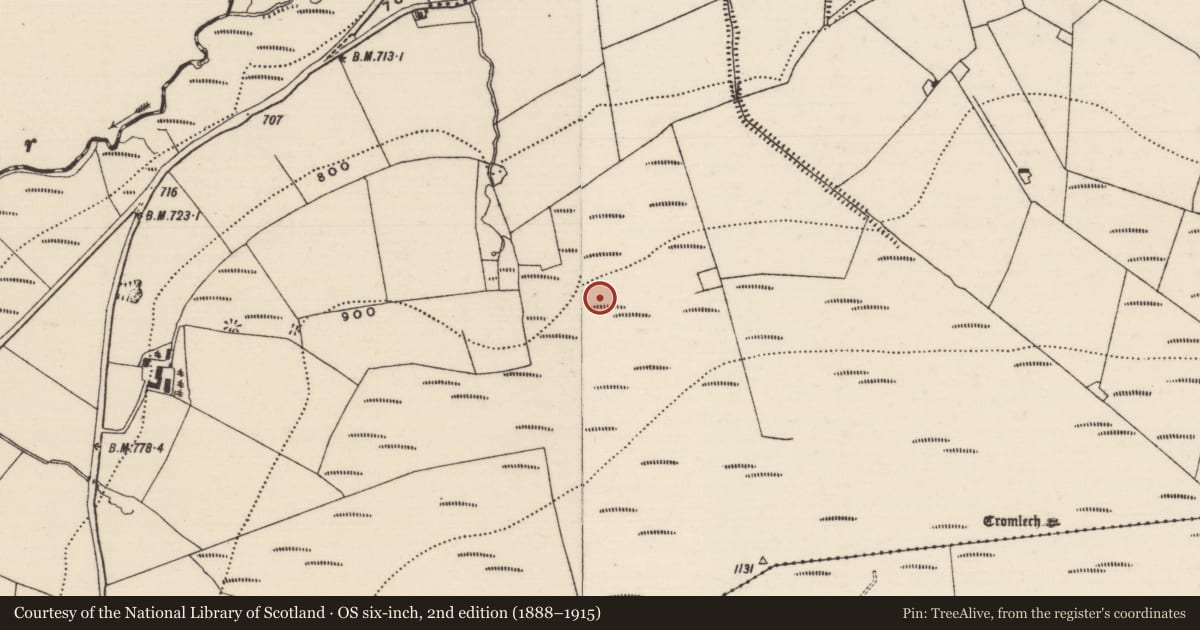 Ordnance Survey six-inch map, 2nd edition (1888–1915) covering the location of Hut site, Curraghmarky, County Tipperary South, with a pin at the register's coordinates