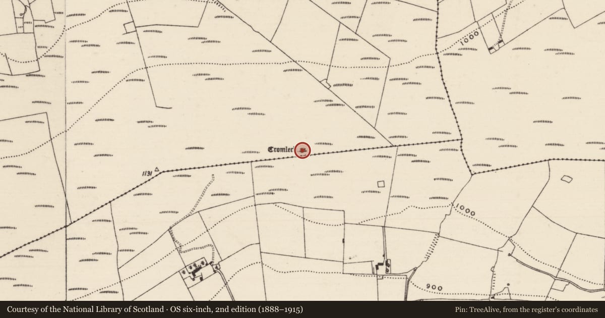 Ordnance Survey six-inch map, 2nd edition (1888–1915) covering the location of Megalithic tomb - unclassified, Curraghmarky, County Tipperary South, with a pin at the register's coordinates