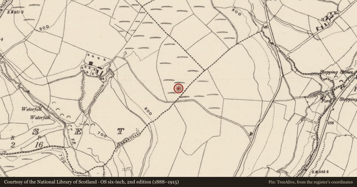 Ordnance Survey six-inch map, 2nd edition (1888–1915) covering the location of Barrow - ring-barrow, Losset (Toem Par.), County Tipperary South, with a pin at the register's coordinates