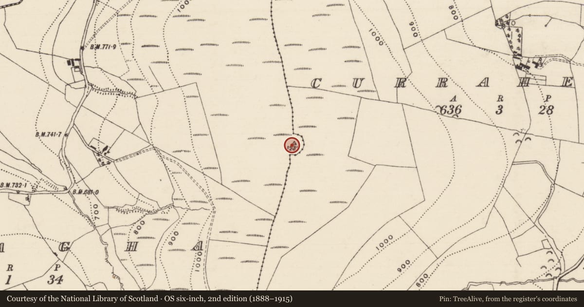 Ordnance Survey six-inch map, 2nd edition (1888–1915) covering the location of Enclosure, Bahagha, Curraheen (Toem Par.), County Tipperary South, with a pin at the register's coordinates