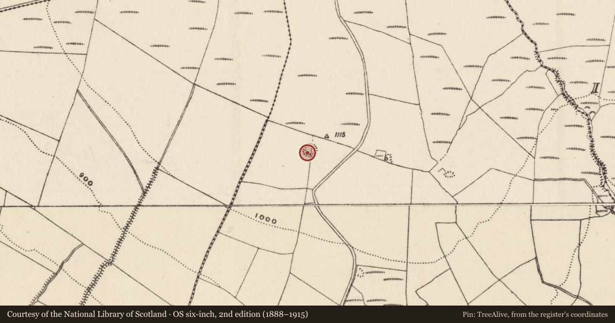Ordnance Survey six-inch map, 2nd edition (1888–1915) covering the location of Ringfort - rath, Kilmore (Toem Par.), County Tipperary South, with a pin at the register's coordinates