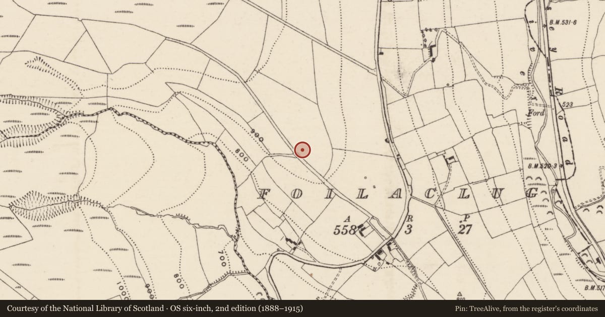 Ordnance Survey six-inch map, 2nd edition (1888–1915) covering the location of Ringfort - rath, Foilaclug, County Tipperary South, with a pin at the register's coordinates