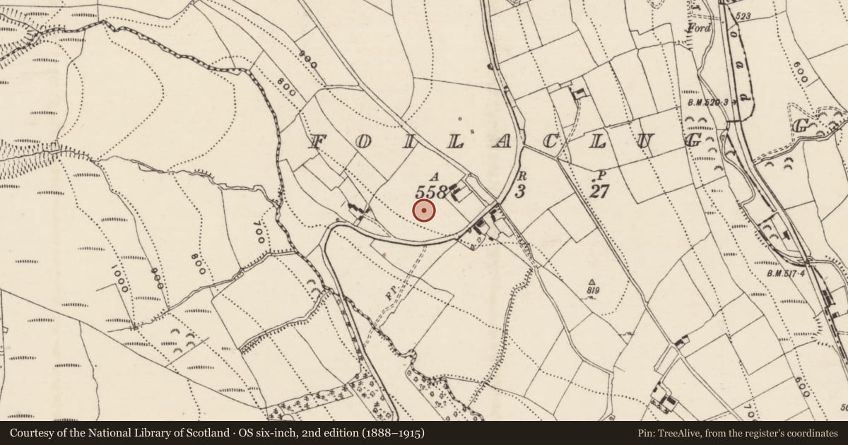 Ordnance Survey six-inch map, 2nd edition (1888–1915) covering the location of Enclosure, Foilaclug, County Tipperary South, with a pin at the register's coordinates
