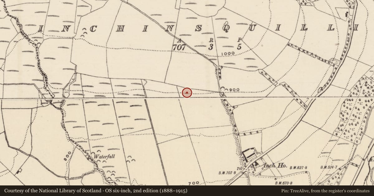 Ordnance Survey six-inch map, 2nd edition (1888–1915) covering the location of Enclosure, Inchinsquillib, County Tipperary South, with a pin at the register's coordinates