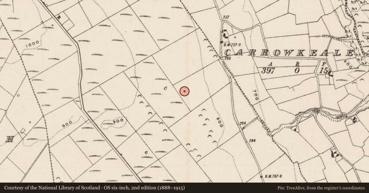 Ordnance Survey six-inch map, 2nd edition (1888–1915) covering the location of Ringfort - rath, Carrow (Donohill Par.), County Tipperary South, with a pin at the register's coordinates