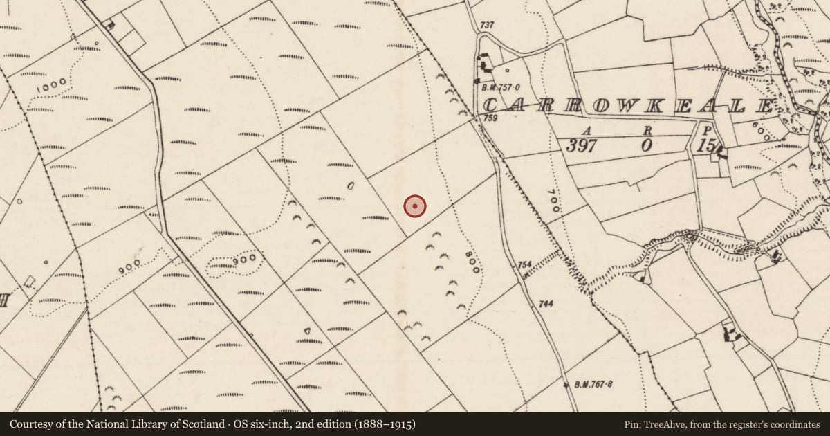 Ordnance Survey six-inch map, 2nd edition (1888–1915) covering the location of Field system, Carrow (Donohill Par.), County Tipperary South, with a pin at the register's coordinates