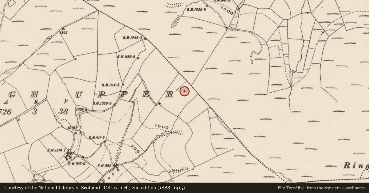 Ordnance Survey six-inch map, 2nd edition (1888–1915) covering the location of Megalithic structure, Glenough Upper, County Tipperary South, with a pin at the register's coordinates
