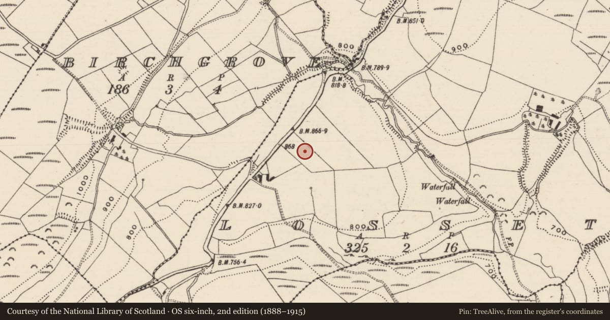 Ordnance Survey six-inch map, 2nd edition (1888–1915) covering the location of Barrow - ring-barrow, Losset (Toem Par.), County Tipperary South, with a pin at the register's coordinates