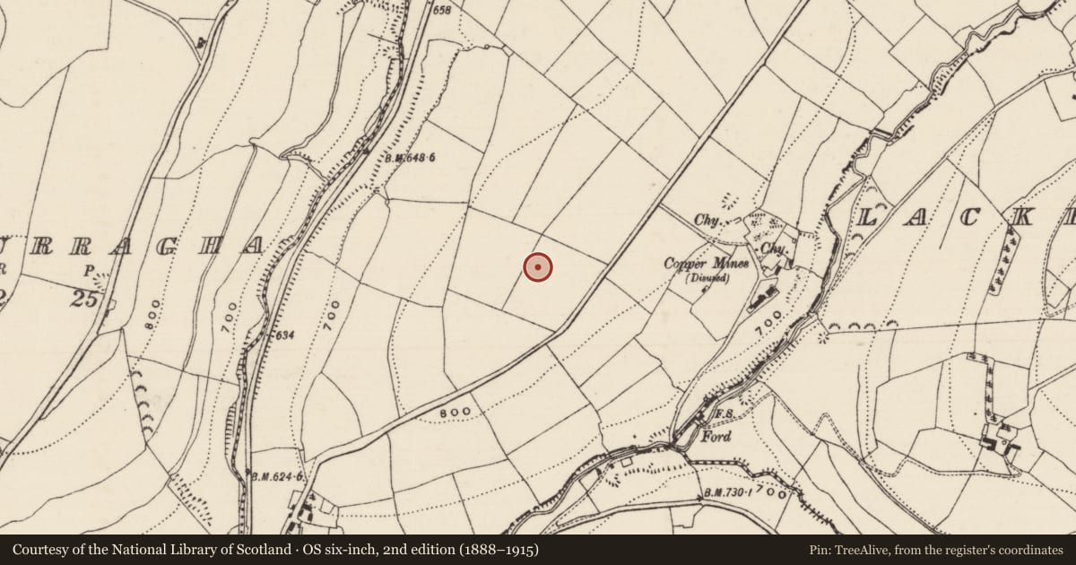 Ordnance Survey six-inch map, 2nd edition (1888–1915) covering the location of Ring-ditch, Reafadda, County Tipperary South, with a pin at the register's coordinates