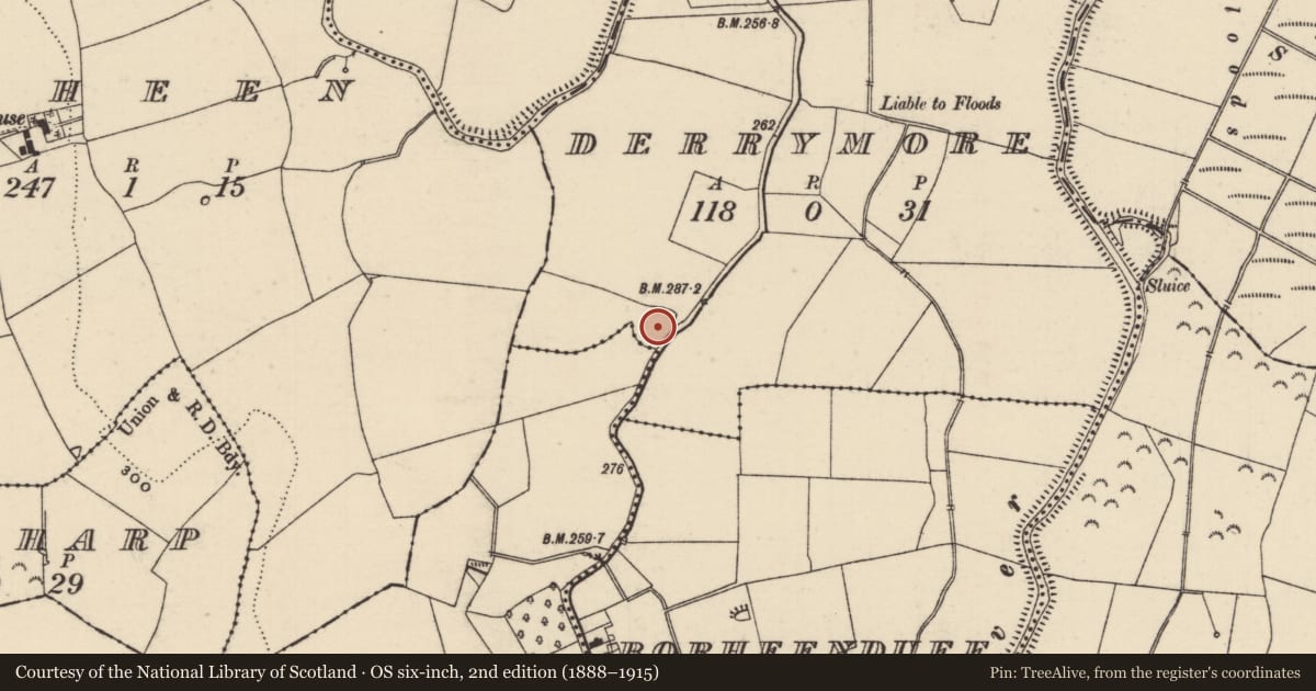 Ordnance Survey six-inch map, 2nd edition (1888–1915) covering the location of Enclosure, Derrymore (Clogher Par.), Knockaderry, County Tipperary South, with a pin at the register's coordinates