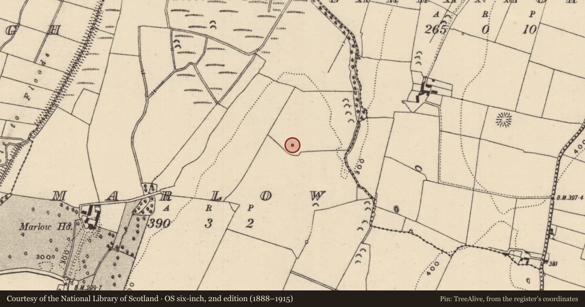 Ordnance Survey six-inch map, 2nd edition (1888–1915) covering the location of Enclosure, Marlow, County Tipperary South, with a pin at the register's coordinates