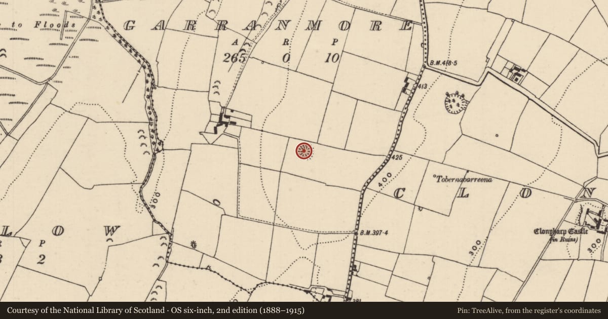 Ordnance Survey six-inch map, 2nd edition (1888–1915) covering the location of Enclosure, Garranmore (Clogher Par.), County Tipperary South, with a pin at the register's coordinates
