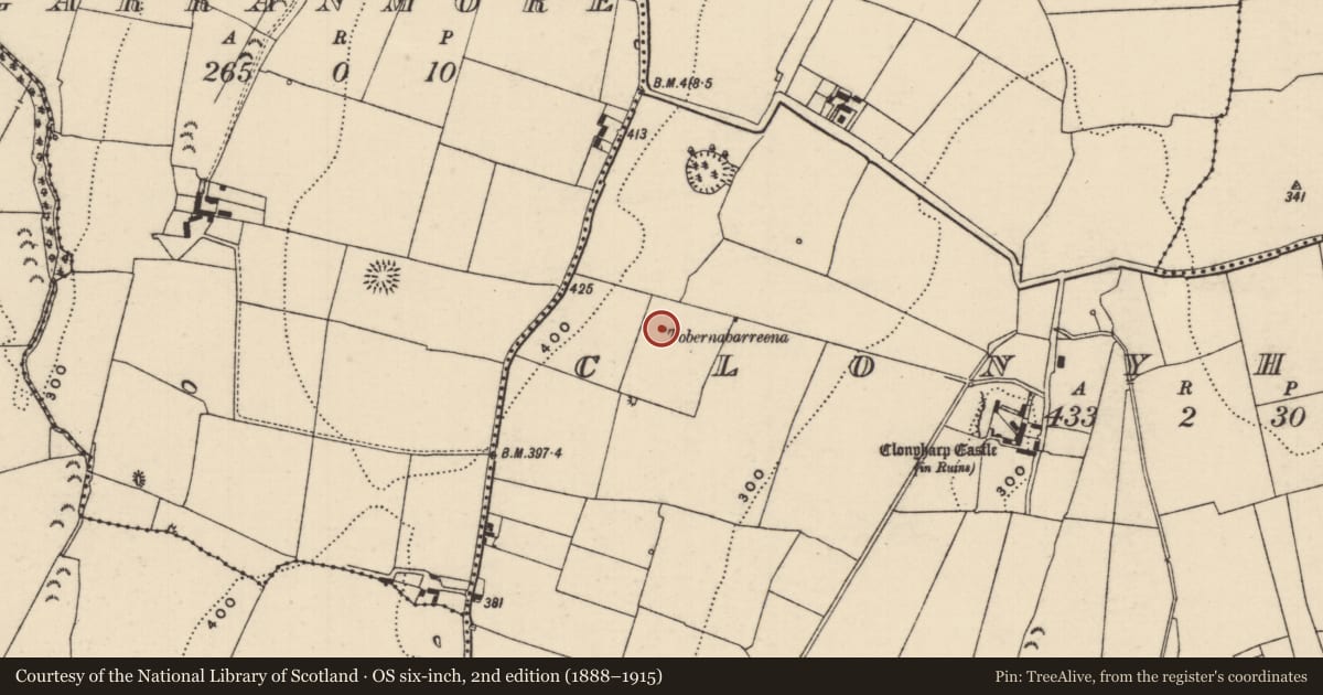 Ordnance Survey six-inch map, 2nd edition (1888–1915) covering the location of Well, Clonyharp (Clogher Par.), County Tipperary South, with a pin at the register's coordinates