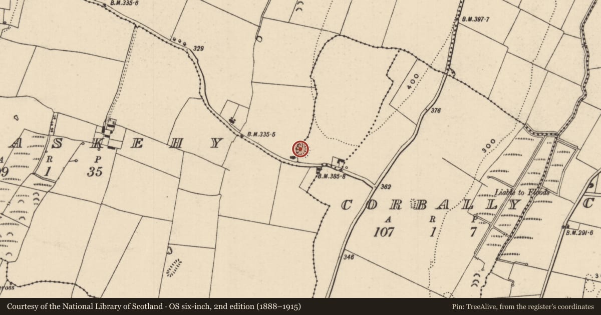 Ordnance Survey six-inch map, 2nd edition (1888–1915) covering the location of Ringfort - rath, Marlow, Gortnaskehy (Clogher Par.), County Tipperary South, with a pin at the register's coordinates