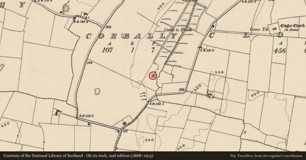 Ordnance Survey six-inch map, 2nd edition (1888–1915) covering the location of Megalithic structure, Corbally (Clogher Par.), County Tipperary South, with a pin at the register's coordinates