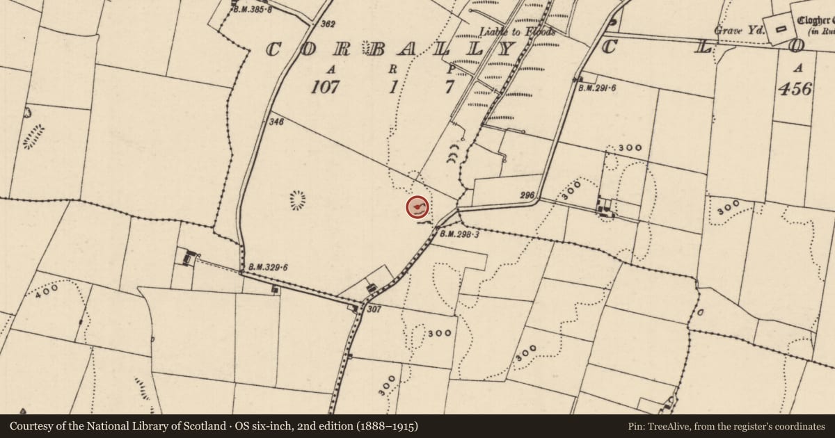 Ordnance Survey six-inch map, 2nd edition (1888–1915) covering the location of Megalithic structure, Corbally (Clogher Par.), County Tipperary South, with a pin at the register's coordinates