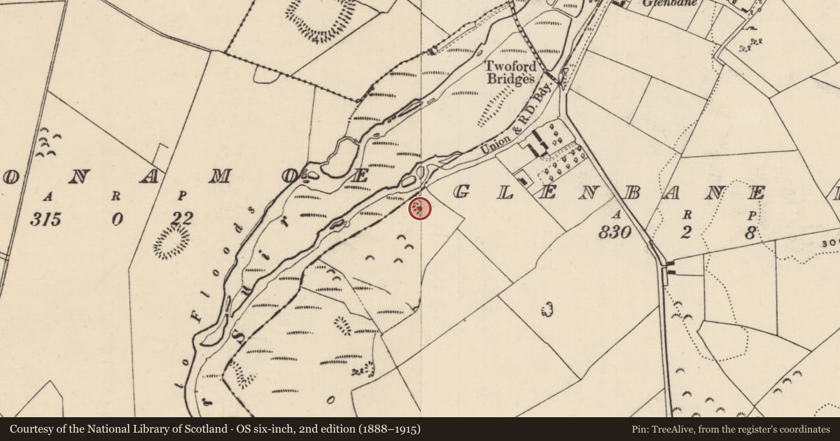 Ordnance Survey six-inch map, 2nd edition (1888–1915) covering the location of Enclosure, Glenbane Lower, County Tipperary South, with a pin at the register's coordinates