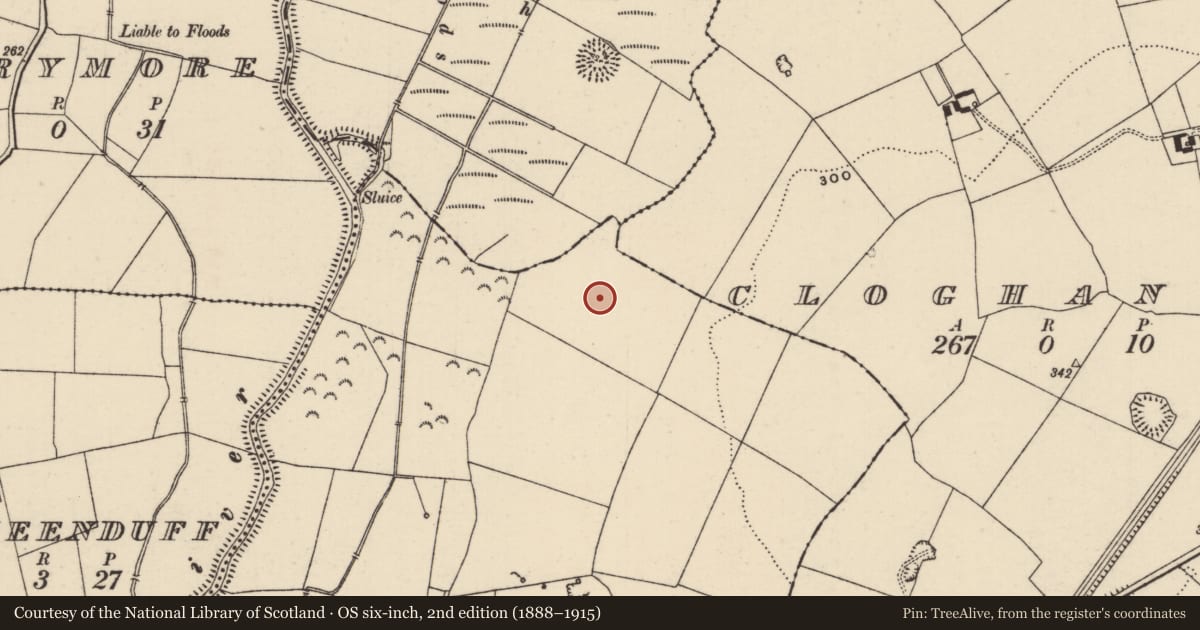 Ordnance Survey six-inch map, 2nd edition (1888–1915) covering the location of Enclosure, Rathkennan, County Tipperary South, with a pin at the register's coordinates