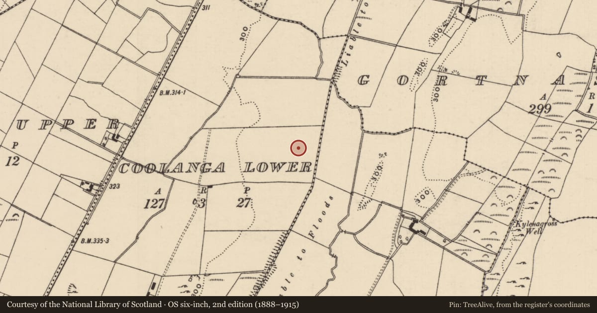 Ordnance Survey six-inch map, 2nd edition (1888–1915) covering the location of Barrow - ring-barrow, Coolanga Lower, County Tipperary South, with a pin at the register's coordinates
