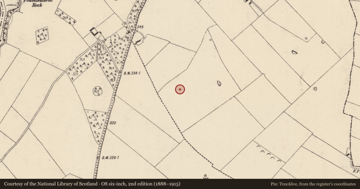 Ordnance Survey six-inch map, 2nd edition (1888–1915) covering the location of Barrow - ring-barrow, Graiguenoe, County Tipperary South, with a pin at the register's coordinates