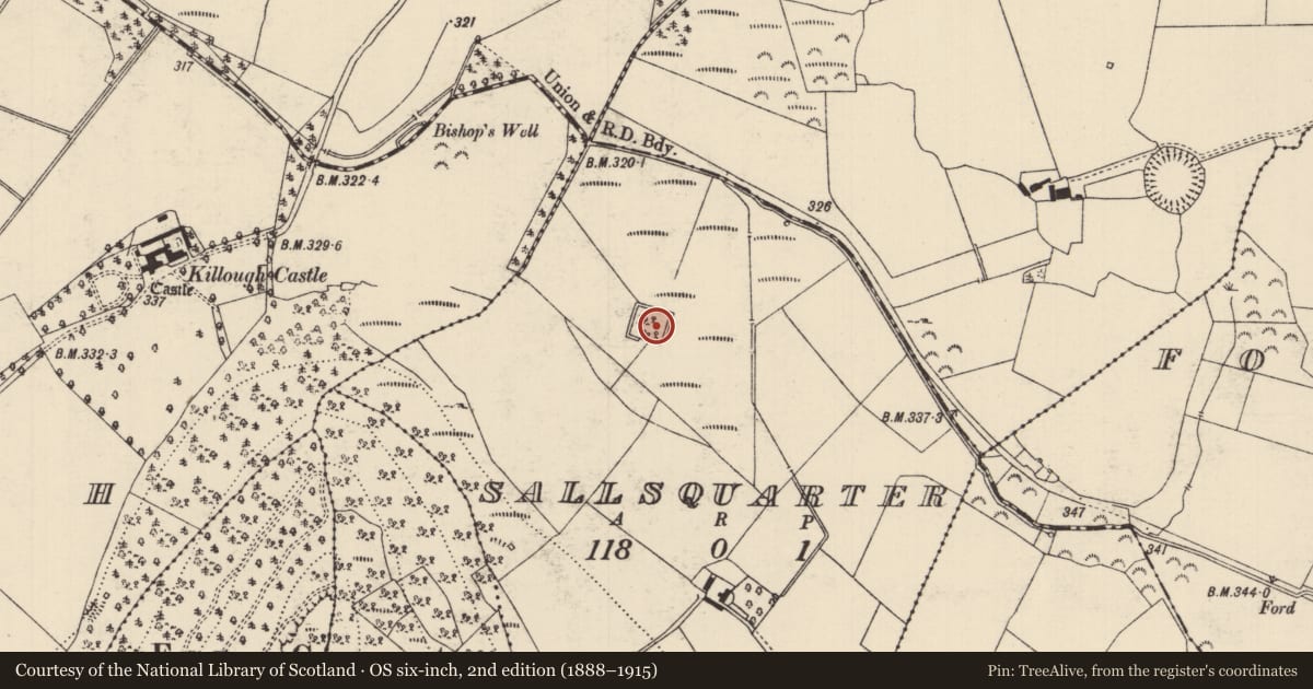 Ordnance Survey six-inch map, 2nd edition (1888–1915) covering the location of Moated site, Sallsquarter, County Tipperary South, with a pin at the register's coordinates
