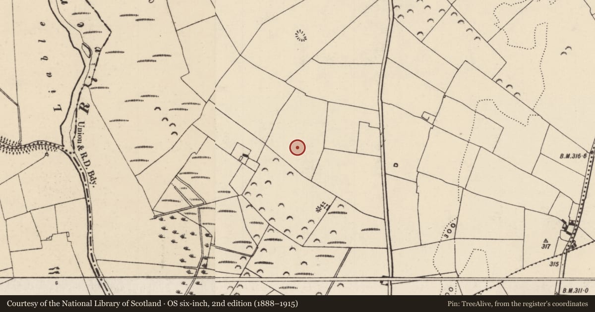 Ordnance Survey six-inch map, 2nd edition (1888–1915) covering the location of Enclosure, Glenbane Lower, County Tipperary South, with a pin at the register's coordinates