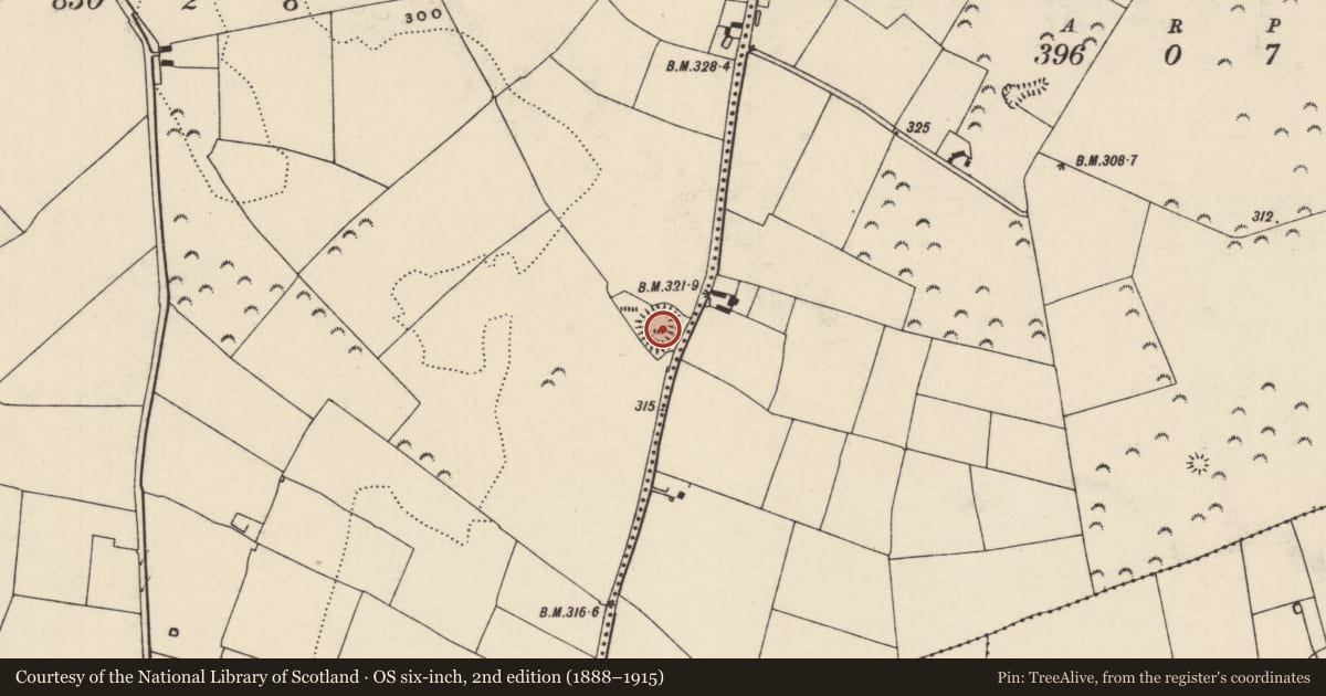 Ordnance Survey six-inch map, 2nd edition (1888–1915) covering the location of Ringfort - rath, Glenbane Lower, County Tipperary South, with a pin at the register's coordinates
